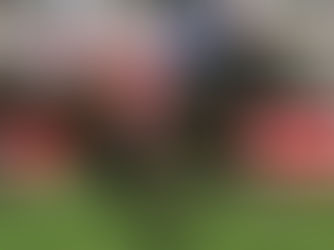 Murió Makybe Diva, la reina eterna de la Melbourne Cup