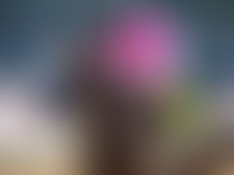 Game Winner, un Candy Ride campeón llega a Brasil como padrillo