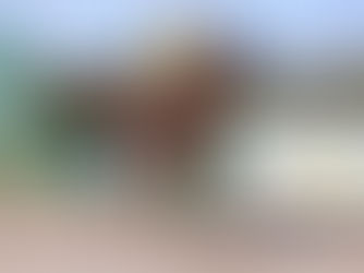 ¡Viejos son los trapos! Quality Boy ganó por 10 cuerpos el Especial Rico