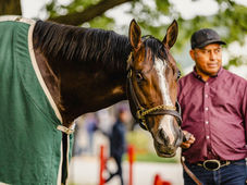 Just Steel Provides Major Boost to Argentine Breeding