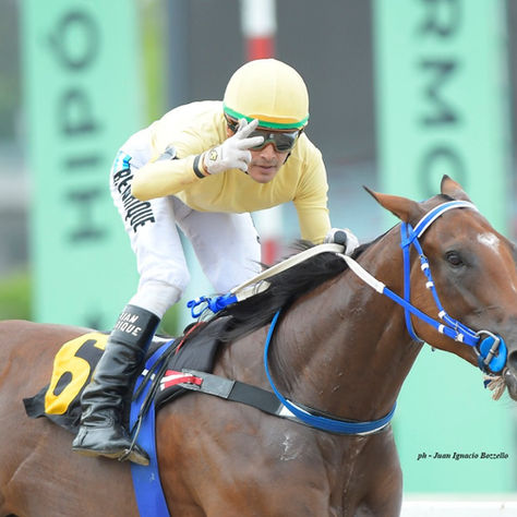 Claro Oscuro, generous sire at Haras La Tutina, dies at 21