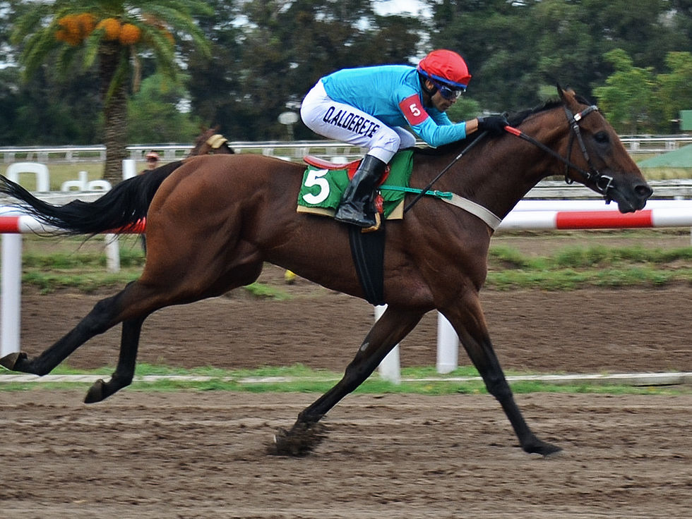 Mannarino fue lógica pura en los 2100 metros del Alejandro Korn