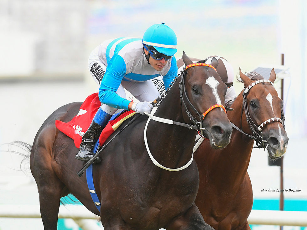 Qué Tarde Gris, con la paciencia de Giannetti, volvió a las fotos grandes en el Clásico América