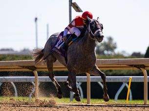 Lexington Stakes offers last-chance points for the Run for the Roses