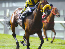 Puppi's Husband and Se Va Colando secure a group stakes double for Argentina in Peru