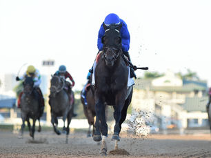 Knightsbridge, Godolphin boy que quiere seguir creciendo...