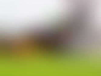 Satono Reve, pura velocidad: récord y doblete en el Takamatsunomiya Kinen