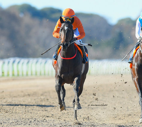 Vivir En Paz continues the winning tradition for the legendary "Pucho"