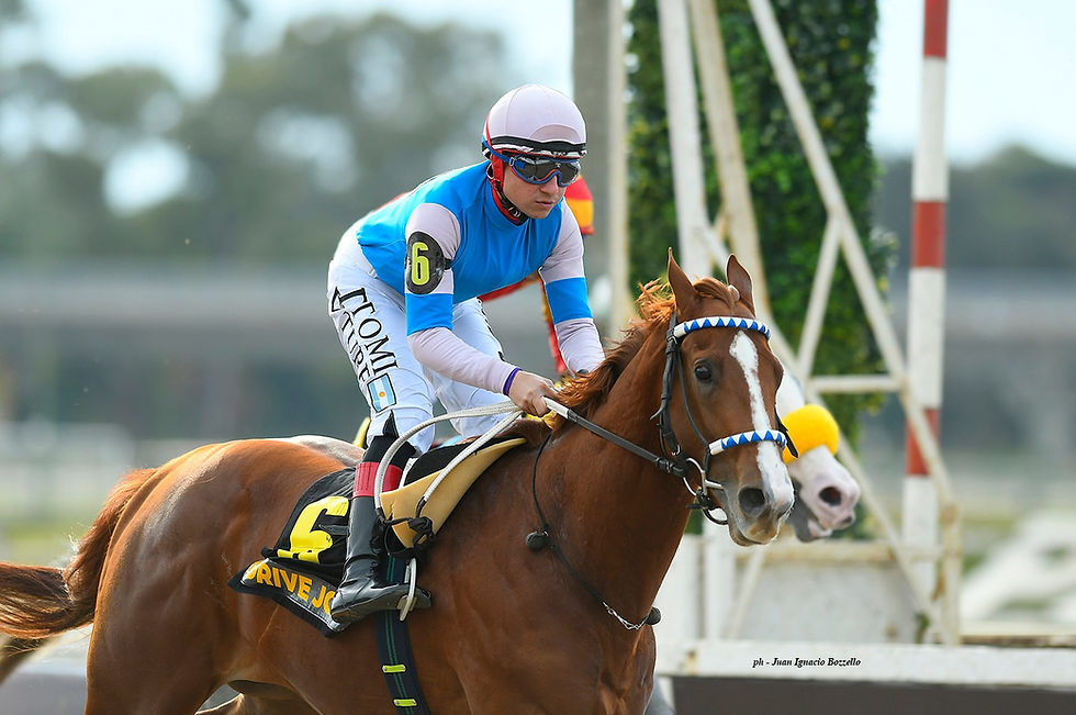 Drive Joy ganó el Estrellas Juvenile / JUAN I. BOZZELLO
