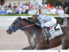 This Monday, the Racehorse Grand Broodmare and Weanling Sale