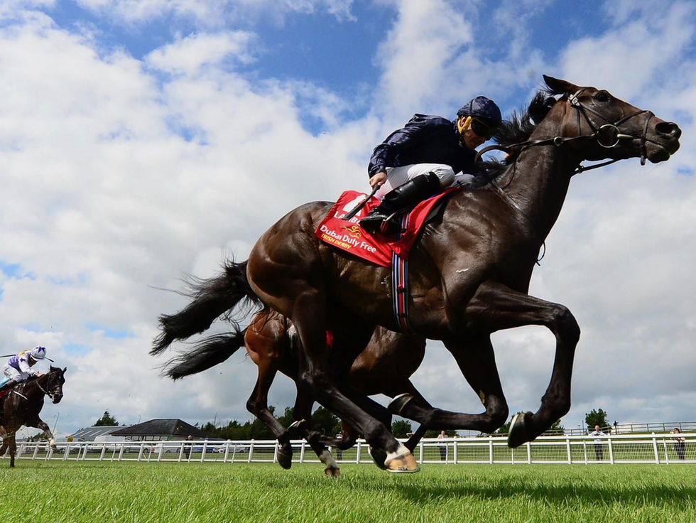 Lambourn, doble Derby Winner, listo para dominar el Great Voltigeur Stakes