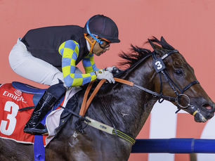 Inmejorable debut de William Pereyra en Meydan, con un lucido doblete