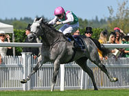 El notable tordillo Field of Gold reprisa en el Bet365 Mile de Sandown