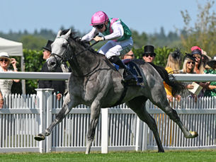 Alarmas encendidas con Field of Gold tras el Sussex Stakes