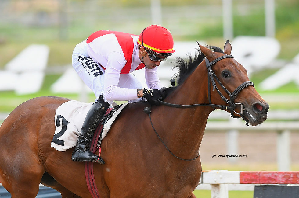 Tarea Fácil Among the Six Fillies Confirmed for the Morales / JUAN I. BOZZELLO