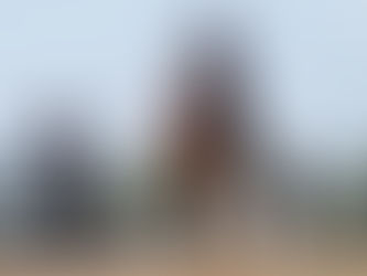 Five G y Her Laugh viajan al Oeste en busca de la gloria en el La Brea Stakes