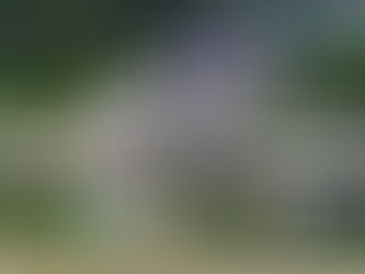 Arthur’s Ride se retira y será ofrecido como prospecto de padrillo en Keeneland