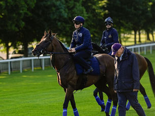 Lead Artist, Trawlerman, Sweet William y Field of Gold, las cartas más fuertes de Gosden para brillar en Royal Ascot