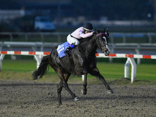 Vedette Queen se tomó revancha de Miss Talent en el Handicap Cote D'Or porteño