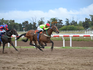 At nearly 8 years of age, Don Galeón finally got his moment of glory