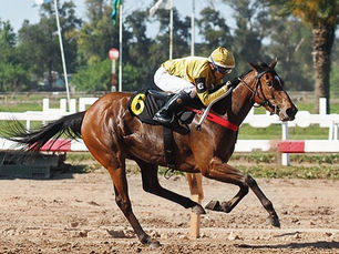Little Hidden Port y el desafío de su vida: debuta en USA corriendo el Clement L. Hirsch Stakes