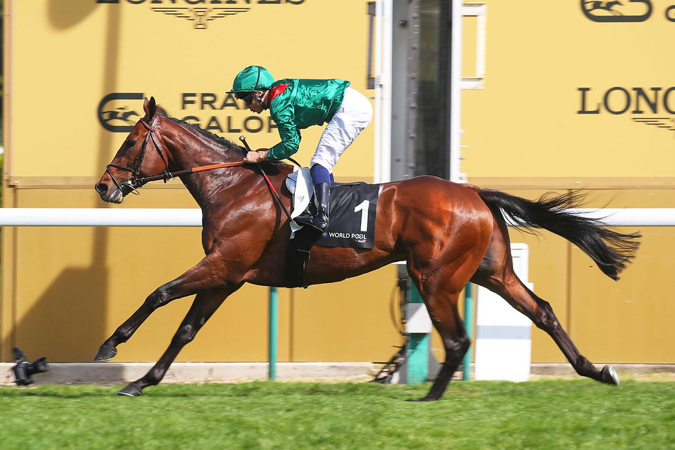Daryz returned like a true champion to capture the Prix Ganay at ParisLongchamp
