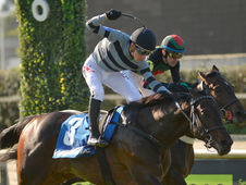 A blockbuster Saturday of racing at Palermo features the Clásico Old Man, Clásico Manuel J. Güiraldes, and Clásico Chacabuco