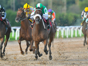 Reina Casada volvió a su mejor nivel y, por ahora, el haras puede esperar
