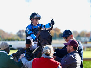 Awesome Hawaiian, the rescued horse who paid back kindness with a victory