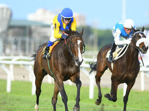 Causeway Girl vuelve a la diagonal de San Isidro para intentar ganar el General Las Heras