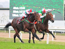 The 9 de Julio Headliners the Upcoming Action on the San Isidro Turf