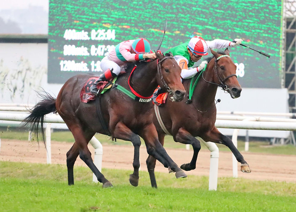 On the outside, Don Griego maintained his unbeaten record over 1400 meters, defeating Cosmic Stripes / HSI