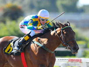 Blues for Sale y una saga interminable de buenos caballos, ahora, Blue Caviar