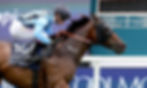 Asfoora logró su segundo triunfo de G1 en Inglaterra / BREEDERS' CUP