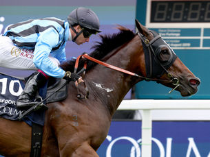 Asfoora hizo historia en York y se ganó un lugar en la Breeders’ Cup