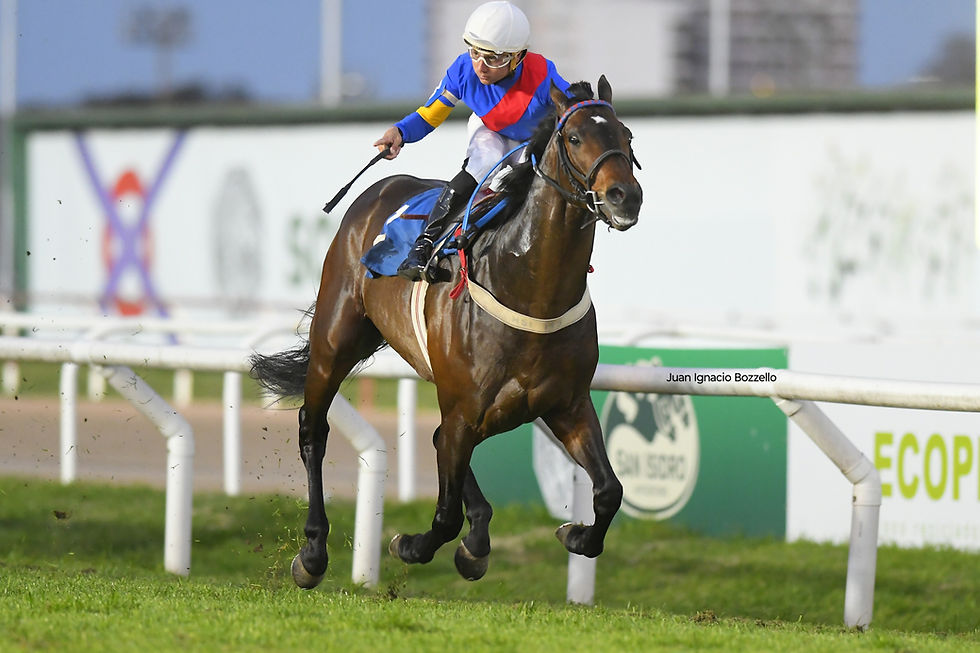 Martín Valle Celebrates on Vundu as if It Were a G1 Victory / JUAN I. BOZZELLO