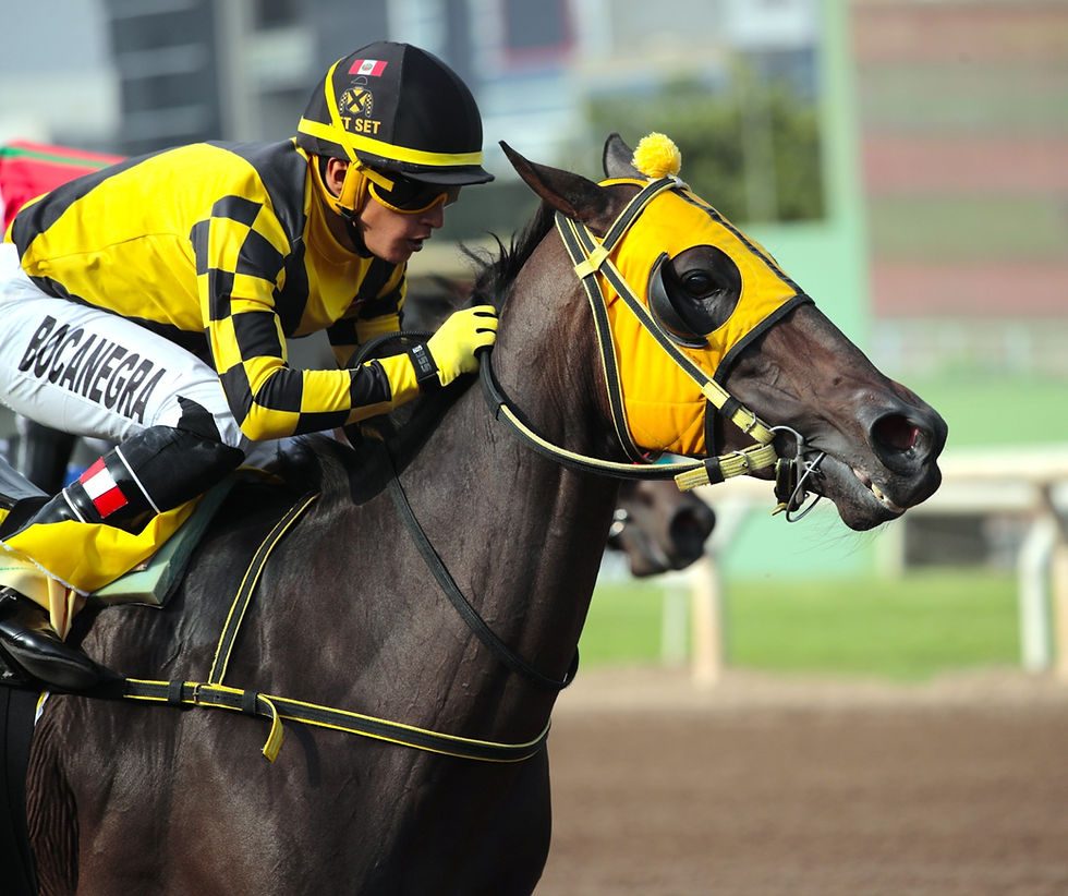 Sexy Star sigue escribiendo su historia en Monterrico / JCP / JULIO VILLANuEVA