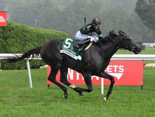 Deterministic correrá hasta fin de año y luego será padrillo en Lane’s End