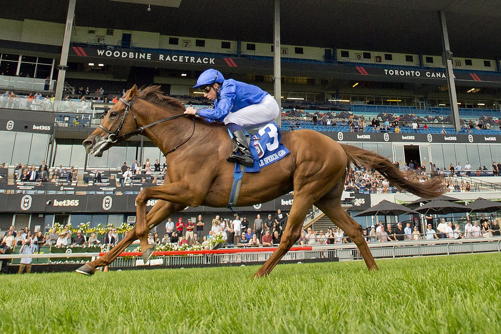 Notable Speech returned to Woodbine to repeat history