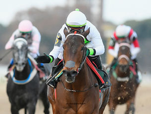 Verenna Restores Jockey Iván Monasterolo to the Winner's Circle in Record-Breaking Fashion