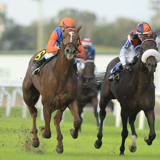 Boucau y Zubiaurre, los clásicos donde suelen nacer ilusiones lindas