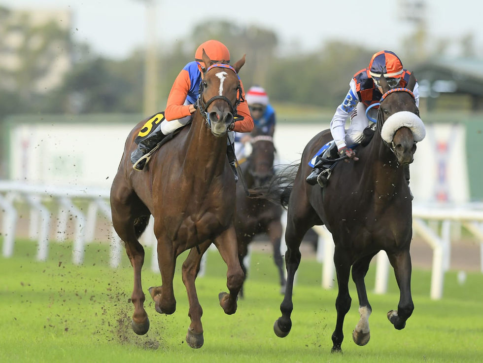 Boucau y Zubiaurre, los clásicos donde suelen nacer ilusiones lindas