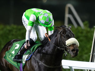 Annaf llega en buena forma de cara a su nuevo intento en Arabia Saudita