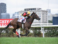 Altair Domingos firmó 3 triunfos de G1 en el fin de semana paulista