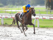 Atucha and Montevideo, feature contenders with championship aspirations