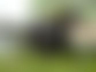 Puppi's Husband dejó atrás el Latino y recuperó su lugar en Monterrico
