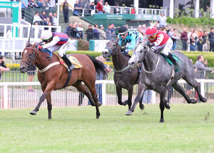 Vieja Amiga Mask secures quick revenge over Pretoriana