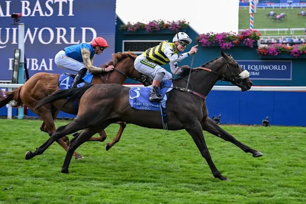 Arapaho Gold remains perfect and delivers another quality leap in the Gimcrack Stakes