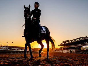 Robson Aguiar, a Brazilian Who Always Finds His Way to the Breeders’ Cup