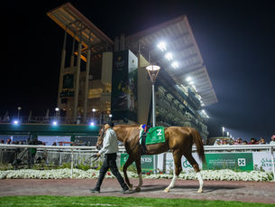 La Asian Racing Conference 2026 desembarcará en Riyadh junto a la Saudi Cup